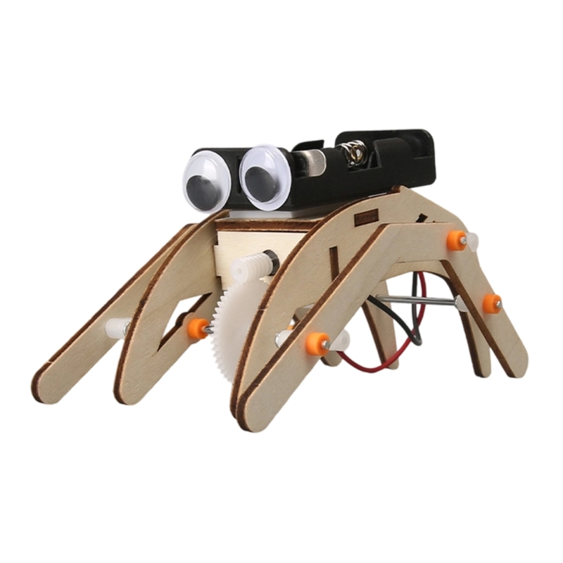 Mechanisch insectenfysica-expe - Science Project Physics recensie en prijs